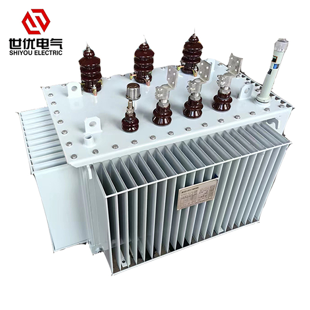 30-2500kVA Custom Large Capacity 10kv Industrial Three Phase Oil Immersed Compact Power Distribution Transformer